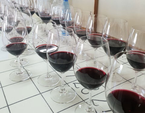 Australian Cool Climate Wine Show - Tourism Search 1