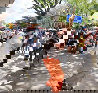 Australian National Busking Championships - Tourism Search