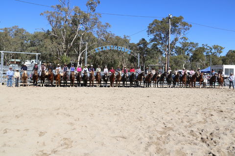 Australian Campdraft Association National Finals Campdraft 2021 - Tourism Search 0