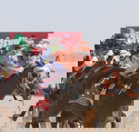 Birdsville Races - Tourism Search