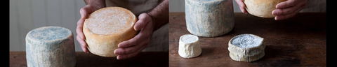 Cheese Making Basics Class - Tourism Search 0