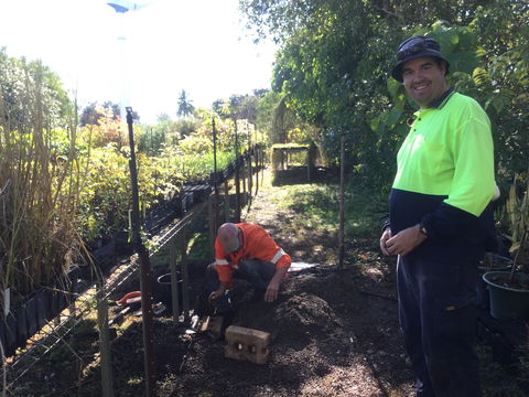 Conservation Volunteers Australia Townsville - Ocean View Nursery - Tourism Search 1