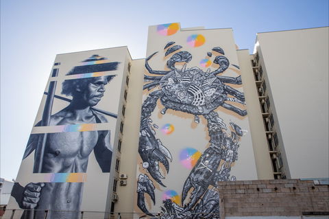 Darwin Street Art Festival - Tourism Search 2