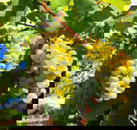 GetawaysSA Bringing Barossa To Your Door - Tourism Search