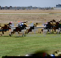 Jerilderie Gold Cup Races - Tourism Search