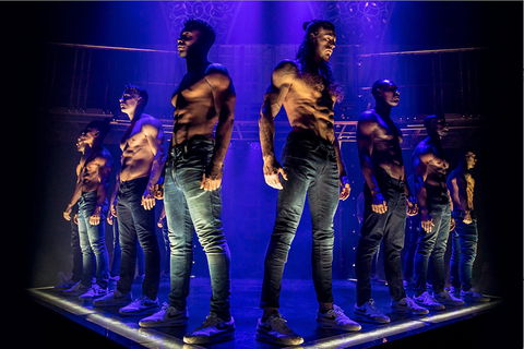 MAGIC MIKE LIVE - Tourism Search 0