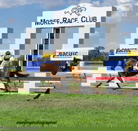 Moree Race Club TAB Race Day - Tourism Search