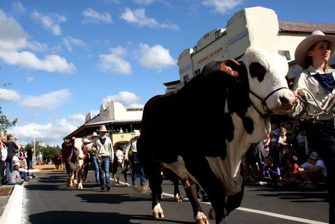 NCMC Casino Beef Week - Tourism Search 1