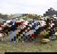 Noorat Show - Tourism Search