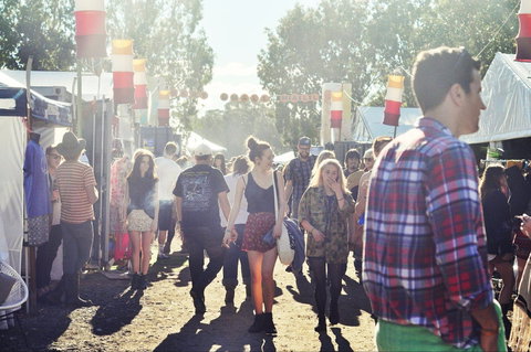 Splendour In The Grass - Tourism Search 1