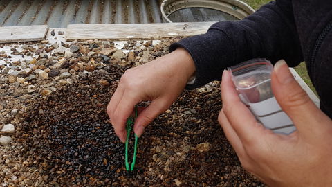 The Minerama Fossicking, Gem And Jewellery Show - Tourism Search 1