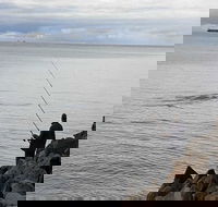 Whale Watching in Portland - Tourism Search