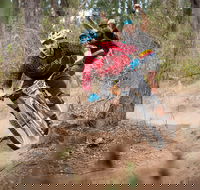 Fox Superflow sealed by Stan's Race  Greenvalleys - Tourism Search