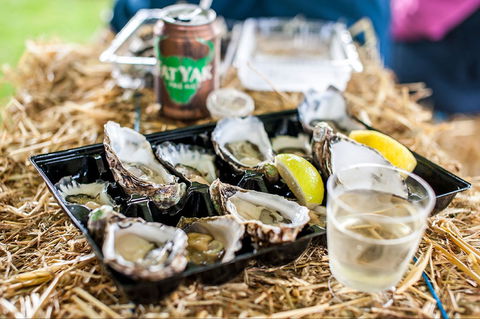 Narooma Oyster Festival - Tourism Search 1