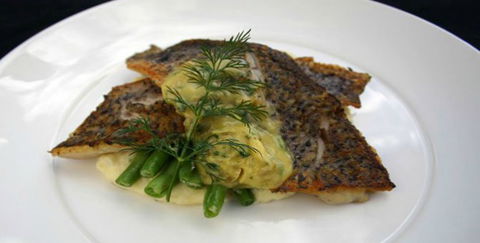 Aquarius Seafood Restaurant - Tourism Search 2