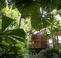 Daintree Wilderness Lodge - Tourism Search