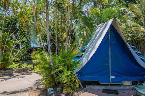 Tasman Holiday Parks - Airlie Beach - Tourism Search 5