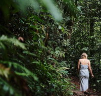 Daintree Ecolodge - Tourism Search