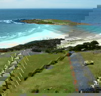 Diamond Island Resort  Bicheno Penguin Show - Tourism Search