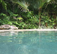 Daintree Rainforest Retreat - Tourism Search