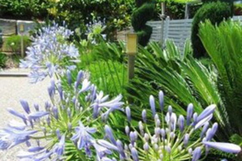 Highfields Motel Toowoomba - Tourism Search 5