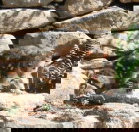 Jenolan Caves House - Tourism Search