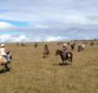 Susan River Homestead - Tourism Search