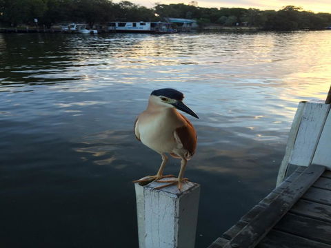Mandurah Riverfront Holiday Rental - Tourism Search 1