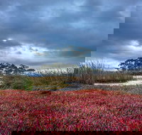 Saintys Creek Cottage - Tourism Search