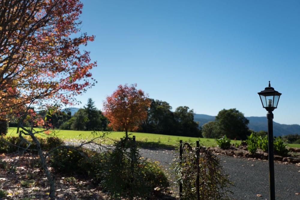 Moonpar NSW Tourism Search