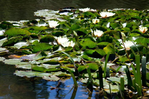 Saladin Lodge - Tourism Search 6