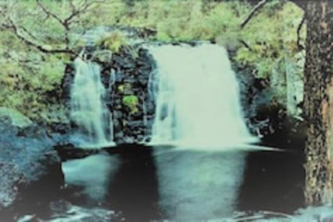 Little Styx Cabins - Tourism Search 4