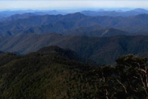 Little Styx Cabins - Tourism Search 1