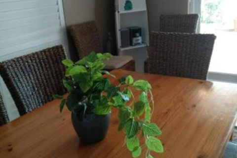 Holiday House - Tourism Search 3