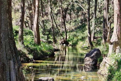 Shady Creek Eco Cabin - Tourism Search 3