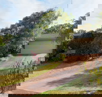 Wildflowers at Fingal Bay - Tourism Search