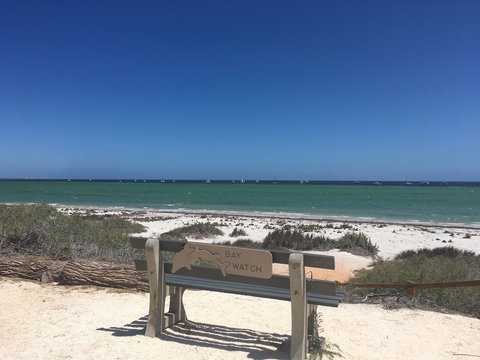 Denham Seaside Caravan Park - Tourism Search 2