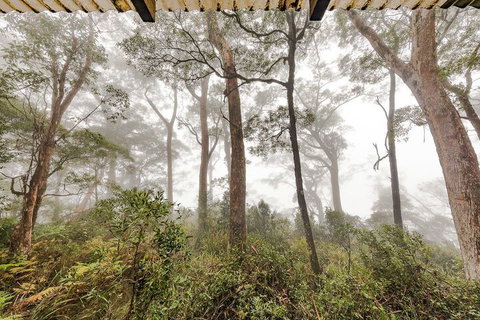 The Chalet - Tourism Search 1