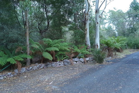 Roland B&B - Tourism Search 4