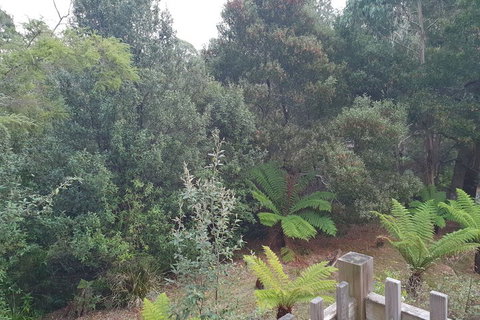 Roland B&B - Tourism Search 1