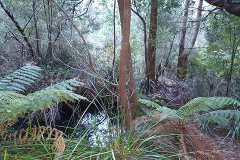 Roland B&B - Tourism Search 5