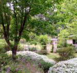 Naturescape - Tourism Search