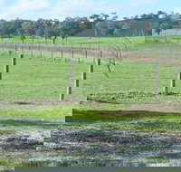 Yea Woodduck Cottage - Tourism Search