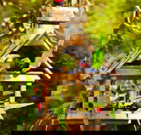 Crystal Brook Tourist Park - Tourism Search