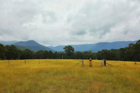 Maya Sanctuary - Tourism Search 0