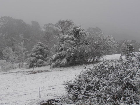 Springmead Rustic Cabin - Tourism Search 6