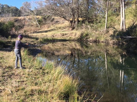 Farringdon Homestead - Tourism Search 3