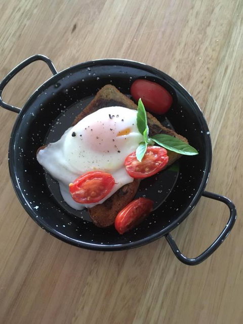 Farringdon Homestead - Tourism Search 1