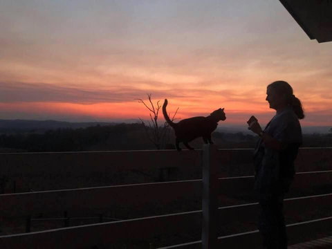 Farringdon Homestead - Tourism Search 6