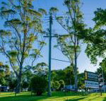 Dorrigo Mountain Holiday Park - Tourism Search